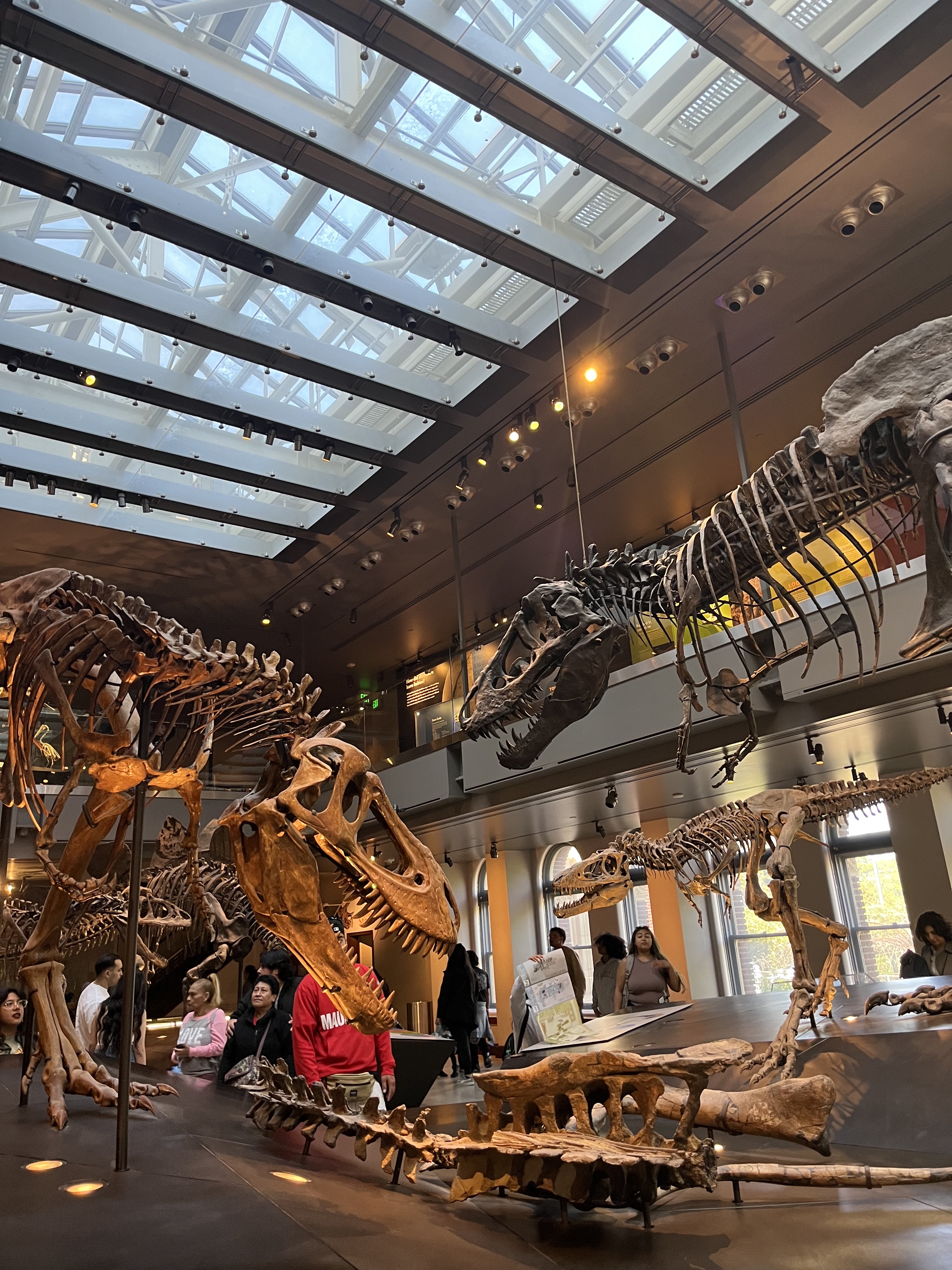 LA Natural History Museum